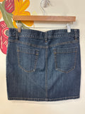 Ann Taylor Denim Skirt, 12
