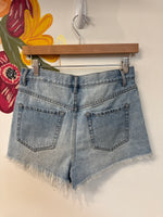 PacSun Denim Button Fly High Rise Shorts, 27 (4)