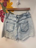 Flying Monkey Denim Shorts, 33 (16)