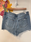 Altar'd State Denim Shorts, XXL