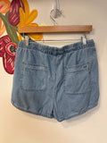 American Eagle Chambray Shorts, M