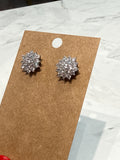 Sterling Silver Earrings