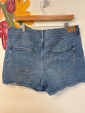 American Eagle Denim Shorts, 14