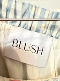 Blush Blue Gingham Lined Shorts, L