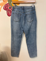 Abound Button Fly Jeans, 26 (2)