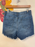 Bold Elements Denim Shorts, 12