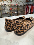 Steven Madden Animal Print Shoes, 9.5