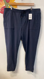 Talbots Blue 28" Inseam Pants, 3X