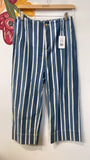 Ann Taylor Blue Stripe 23" Inseam Jeans, 4 Petite