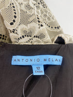 Antonio Melani Tan Lace Dress, 12