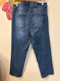 Curve Appeal High Rise Straight 25" Inseam Jeans, 14