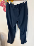 Lululemon Blue Athletic 28" Inseam Pants, 10