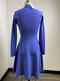 Ann Taylor Purple Dress, XS Petite