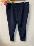 Talbots Blue 28" Inseam Pants, 3X
