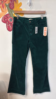 New Gianni Bini Velvet Midnight Glam Jeans, 9