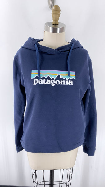 Patagonia Blue Hoodie Sweatshirt, L