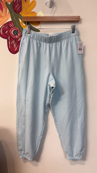 Yogalicious Blue Cloud Plush Traverse Joggers, M