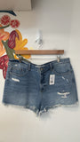 Altar'd State Denim Shorts, XXL