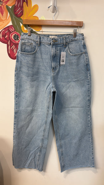 PacSun Nora Wide Leg Jeans, 30 (10)