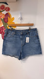 American Eagle Denim Shorts, 14