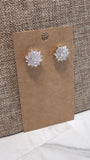 Sterling Silver Earrings