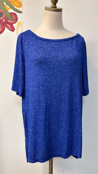 Lane Bryant Blue Top, 14/16