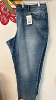 Cato Hi Rise Jeans, 22W Petite