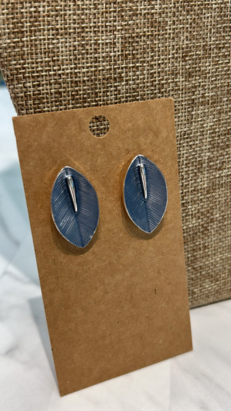 Silver/Blue Earrings