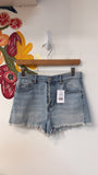 PacSun Denim Button Fly High Rise Shorts, 27 (4)