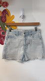 American Eagle Blue Mom Shorts, 2