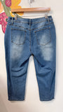 Flamingals 26" Inseam Jeans, XL